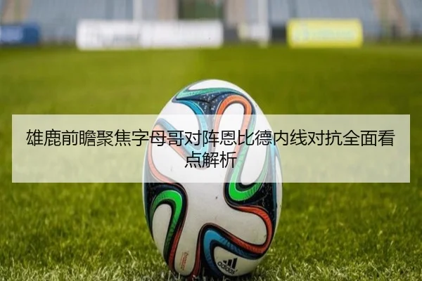 雄鹿前瞻聚焦字母哥对阵恩比德内线对抗全面看点解析